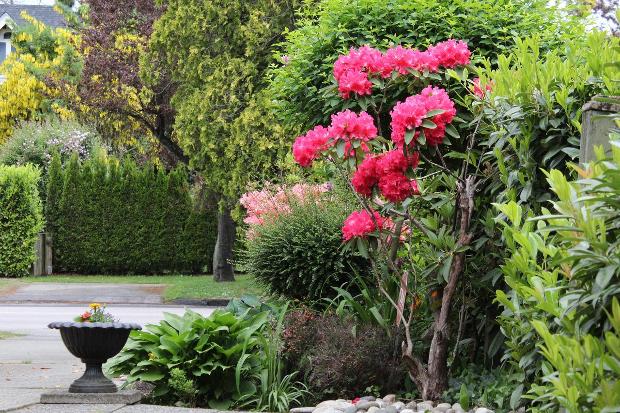 Cartier Guest House Vancouver Exterior photo